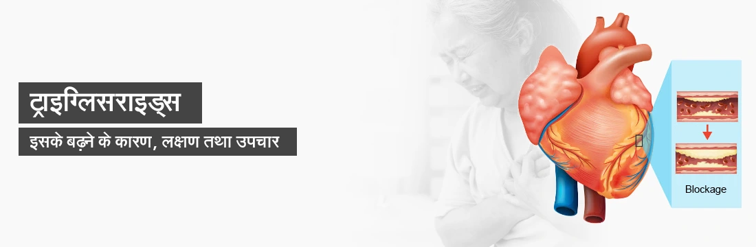 Triglycerides Meaning In Hindi Triglycerides Meaning In Hindi